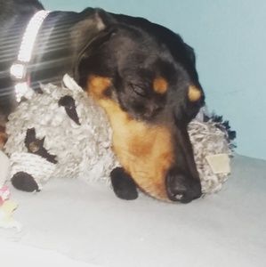 Meet your Posher, Karen